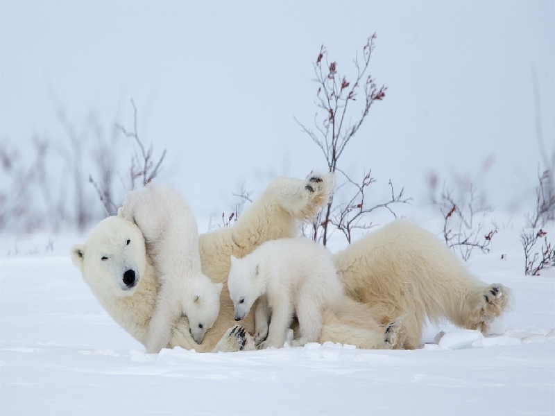 天津三代供卵例子,山东临沂做试管婴儿成功率最高的医院是哪里？如何选-天津
